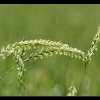 20120621_274